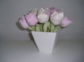 vasinho tulipa